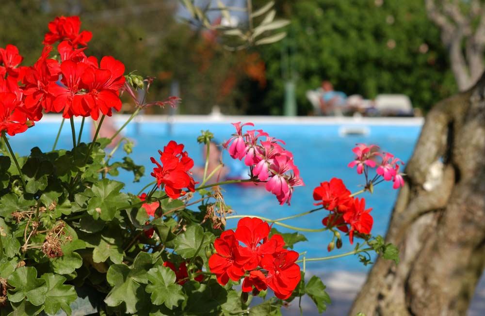Saint Nicholas 3* Gouvia